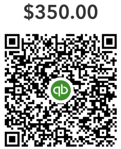 qr wave camp plus