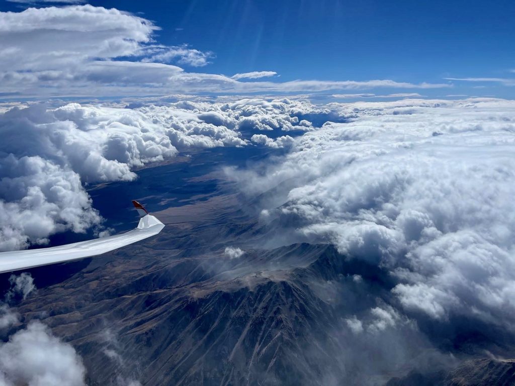distinctive wave rotor pattern