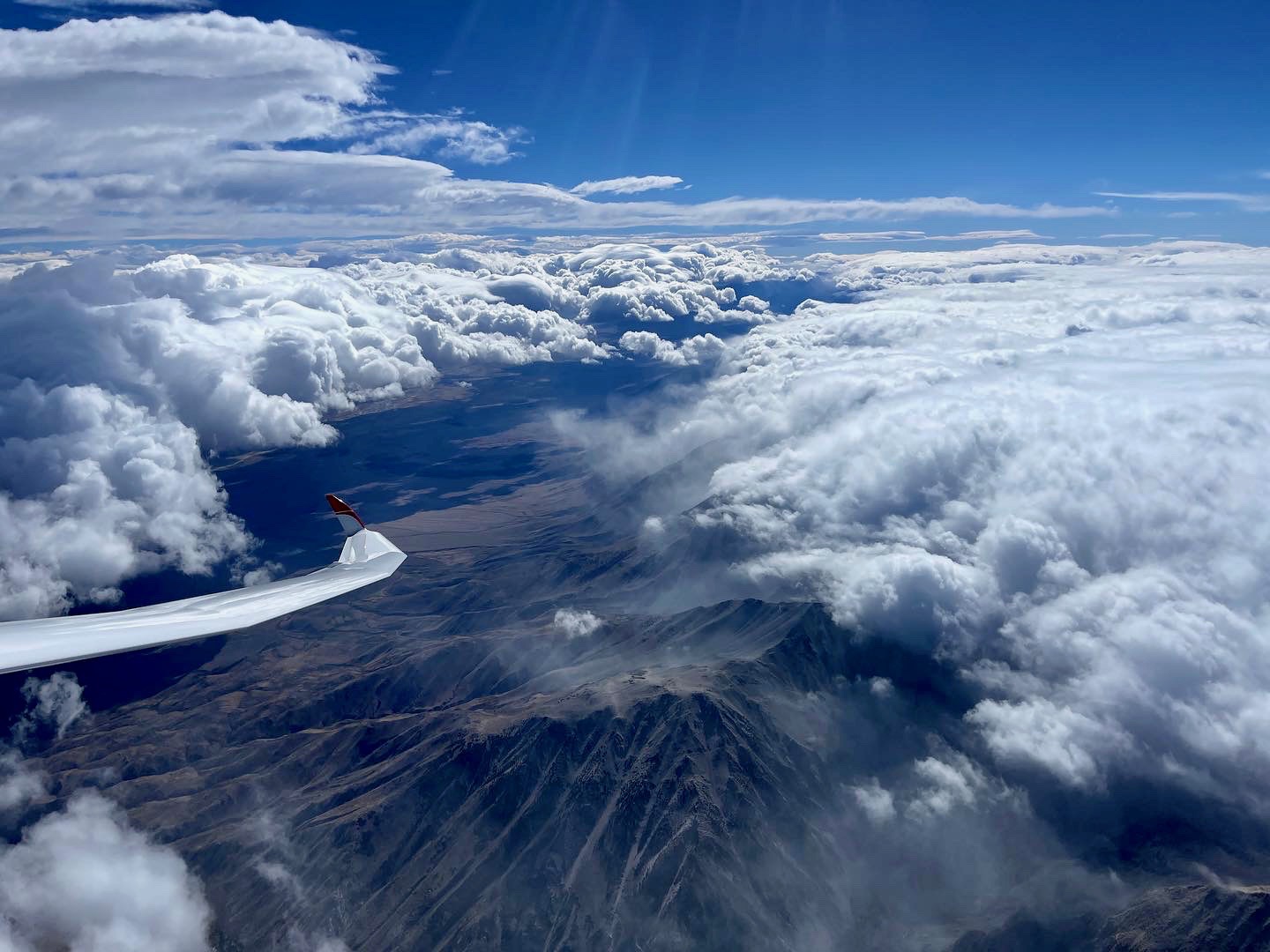 distinctive wave rotor pattern